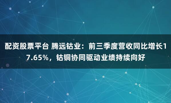 配资股票平台 腾远钴业：前三季度营收同比增长17.65%，钴铜协同驱动业绩持续向好