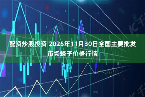 配资炒股投资 2025年11月30日全国主要批发市场蛏子价格行情