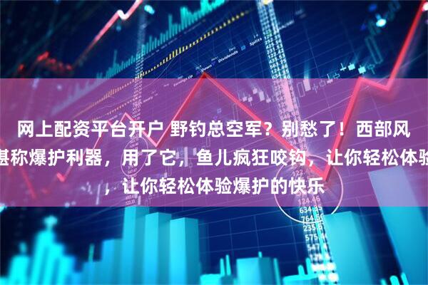 网上配资平台开户 野钓总空军？别愁了！西部风维它米窝料堪称爆护利器，用了它，鱼儿疯狂咬钩，让你轻松体验爆护的快乐