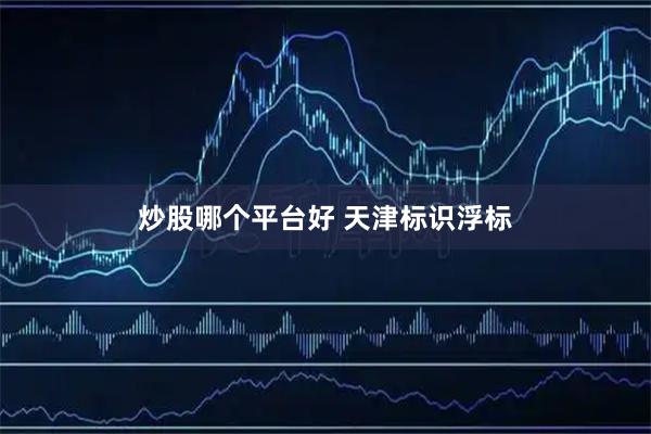 炒股哪个平台好 天津标识浮标