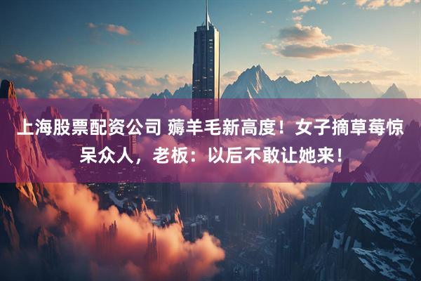 上海股票配资公司 薅羊毛新高度！女子摘草莓惊呆众人，老板：以后不敢让她来！