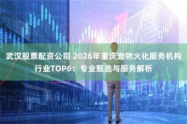 武汉股票配资公司 2026年重庆宠物火化服务机构行业TOP6：专业甄选与服务解析