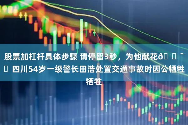 股票加杠杆具体步骤 请停留3秒，为他献花🕯️四川54岁一级警长田浩处置交通事故时因公牺牲